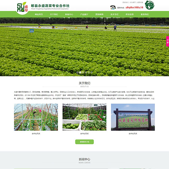 郫县永盛蔬菜专业合作社